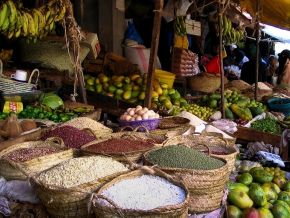 l-ofid-accorde-25-millions-pour-le-projet-regional-d-integration-des-marches-agricoles-au-benin-et-au-togo