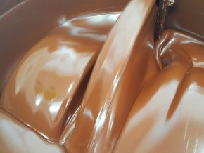 sierra-leone-capitol-foods-lance-la-premiere-usine-de-transformation-de-cacao-du-pays
