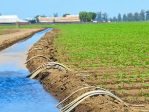 maroc-la-bad-mobilise-114-millions-d-euros-pour-soutenir-une-agriculture-plus-resiliente-et-plus-inclusive