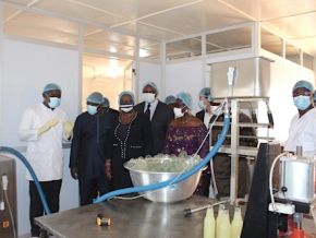 togo-une-unite-de-transformation-de-fruits-et-legumes-installee-a-tsevie