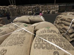 cote-d-ivoire-les-exportateurs-locaux-de-cacao-ne-beneficieront-que-de-200-000-tonnes-de-feves-en-2021-2022