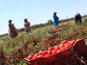 avec-une-forte-presence-au-siamap-2021-orange-tunisie-reaffirme-son-engagement-aupres-des-agriculteurs